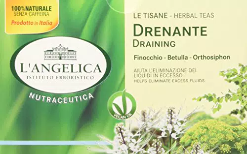L'Angelica Tisana Drenante, Tisana Funzionale Che Favorisce il Drenaggio e L'Eliminazione dei Liquidi in Eccesso Grazie a Ortosiphon e Finocchio