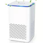 Purificatore d'Aria, Depuratore Aria con Filtro HEPA