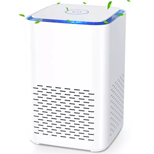Purificatore d'Aria, Depuratore Aria con Filtro HEPA