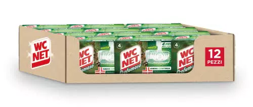 Wc Net - Detergente Igienizzante Solido per WC, Fragranza Mountain Fresh, 4 Pezzi x 12 Confezioni