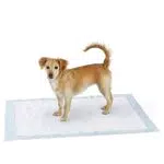 Amazon Basics, Tappetini per l'addestramento di cani e cuccioli