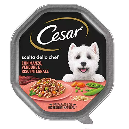 Cesar Scelta Dello Chef Cibo Umido per Cane con Manzo alla Griglia
