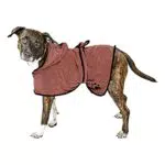 Hwtcjx Accappatoio per Cani Asciugamano Cane Accappatoio per Cane Super Assorbente in Microfibra con Cinturino Regolabile Animali Domestici Cappotto