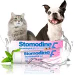 ICF Stomodine F- Gel orale per cani e gatti- aroma carne- aiuta a combattere placca e alitosi- per una sana igiene orale facile utilizzo negli animali