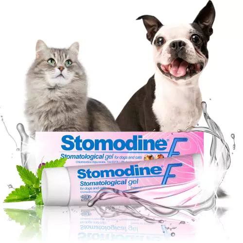 ICF Stomodine F- Gel orale per cani e gatti- aroma carne- aiuta a combattere placca e alitosi- per una sana igiene orale facile utilizzo negli animali