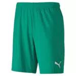 Puma Teamgoal 23 Knit, Pantaloncini Uomo, Verde