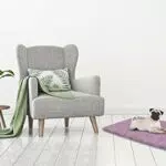 Elegant Tplilla Tappetino per Cani con Cerniera Sfoderabileicrofibra anallergicailla