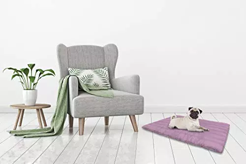 Elegant Tplilla Tappetino per Cani con Cerniera Sfoderabileicrofibra anallergicailla