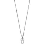 Emporio Armani Collana con Ciondolo da Uomo in Acciaio