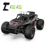 Macchina Telecomandata 2, 4GHz con Due Batterie di 60 minuti Auto Telecomandata Alta Velocità Off Road Vehicle 20KM / H RC Auto 1:16 di Tutto Terreno