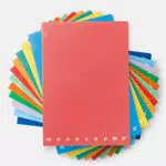 Pigna Monocromo 02298871R, Quaderno Formato A4, Rigatura 1R