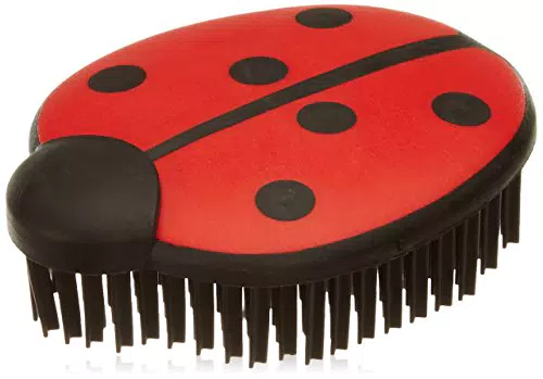 V7 Spazzola per Abitiodello Carl la Coccinella