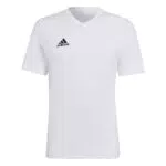 adidas ENTRADA 22, Maglietta Unisex-Adulto, Bianca, M