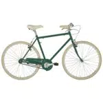 Alpina Bike L'EGO 1v, Bicicletta Uomo, Verde Smeraldo