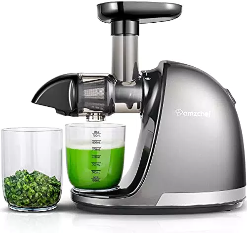 AMZCHEF Estrattore Frutta e Verdura - Estrattore Di Succo A Freddo - Masticazione Delicata Non C'è Bisogno Di Filtrare - Estrattore Di Succo Senza BPA con Due Tazze e Pennello - Argento