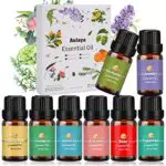 Aulaya Set di Oli Essenziali per Diffusori 8 x 10 ml