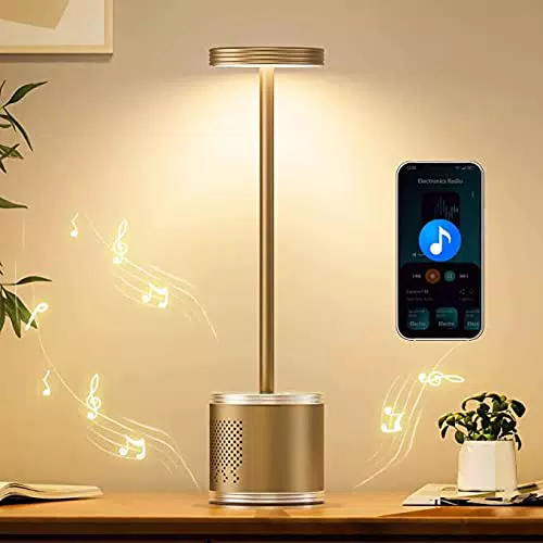 HYMZP Lampada da Tavolo Senza Fili, corten