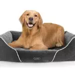 Pecute Cuccia per Cani, grigio, 80*66*21cm