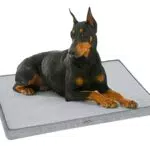 Pecute Cuscino Cane Grande in Memory Foam, Materassino per Cani Sfoderabile Lavabile
