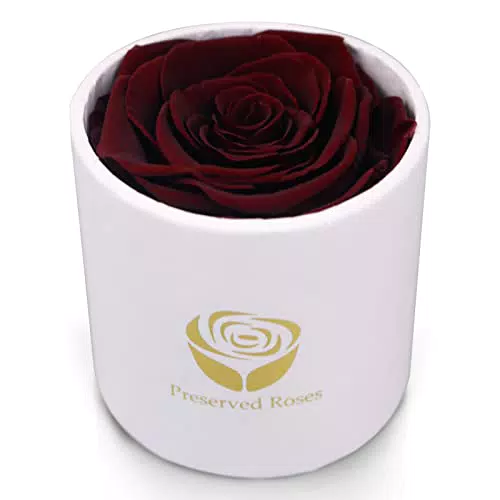 Sunia Roses Stabilizzata, Rosa Regalo per Lei Scatola di 1 Rose vere Rosa Eterna di Lunga Durata Rosa Fatta a Mano per Fidanzata Madre Moglie San Valentino Natale Festa della Mamma