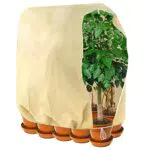 SXUUXB Cappuccio Protezione Piante Inverno 240 X 200 cm Copertura Telo Copri Piante Inverno Resistente agli Strappi Riutilizzabile Sacco di Protezione per Prevenire Insetti Neve E Freddo 80 g/m