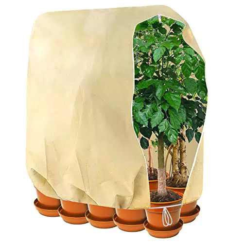 SXUUXB Cappuccio Protezione Piante Inverno 240 X 200 cm Copertura Telo Copri Piante Inverno Resistente agli Strappi Riutilizzabile Sacco di Protezione per Prevenire Insetti Neve E Freddo 80 g/m