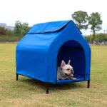 Amazon Basics, Cuccia per animali domestici, sopraelevata