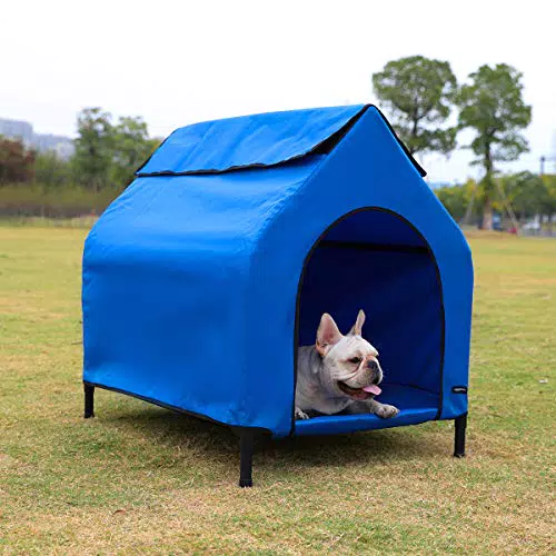 Amazon Basics, Cuccia per animali domestici, sopraelevata