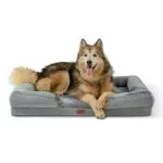 Bedsure Letto per Cani Grande 106x80x18cm