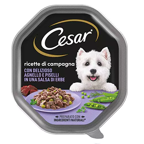 Cesar Ricette di Campagna Cibo per Cane con Delizioso Agnello e Piselli in una salsa di erbe 150 g - 14 Vaschette