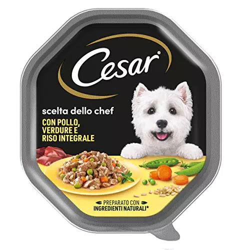 Cesar Scelta Dello Chef Cibo Umido per Cane con Pollo alla Griglia