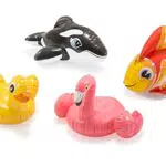 Intex 58590 - Animaletti Assortiti, Colori Assortiti