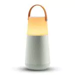 ION Audio Bright Max Cassa Bluetooth Amplificata Portatile a 360° Impermeabile con Luci