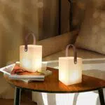 MALUX - Lampada da Tavolo senza fili 8 colori dimmerabile con telecomando lampada ricaricabile esterni IP54