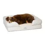 PetFusion Cuccia per cani in memory foam per cani di grossa taglia originale ortopedico