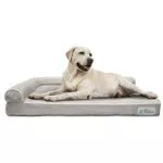 PetFusion - Letto per Cani in Memory Foam