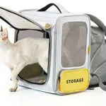 PETKIT Zaino per trasporto cani espandibile