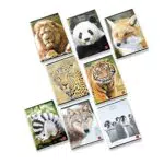 Pigna ANIMAL 02307650Q Maxi Quaderni A4 Quadretto 0Q con Margine