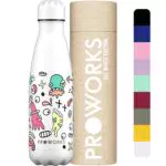 PROWORKS Bottiglia d'acqua isotermica, senza BPA, bottiglia in acciaio inox riutilizzabile per mantenere caldo 12 ore e freddo fino a 24 ore