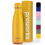 PROWORKS Bottiglia d'acqua isotermica senza BPA, bottiglia in acciaio inox riutilizzabile per mantenere caldo 12 ore e freddo fino a 24 ore per sport