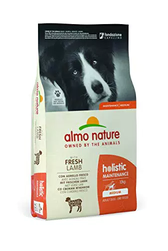 almo nature Holistic Maintenance Medium con Agnello Fresco - Sacco 12kg