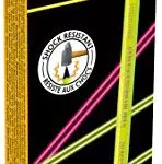 BIC 942882 Fluo matita Evolution Fluo, HB con gomma gambo 4 colori assortiti