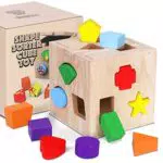 Cubic Shape Sorter Giocattolo di Legno, Montessori Educativi
