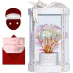 DE L'AMOUR PRESENTS Scatola con rose. Undici rose eterne dorate in una scatola con luci LED e orecchini. Rose eterne