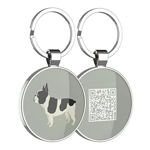 DISONTAG Medagliette per Animali Domestici personalizzate, French Bulldog
