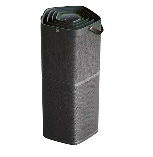 Electrolux PA91-604DG Purificatore d'Aria Connesso con Protezione Antibatteria e Filtro Agli Odori Sgradevoli