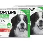Frontline Combo, 3+3 Pipette, Cane Taglia XL, Antiparassitario per Cani