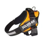 Julius-K9, Pettorina IDC Power, Taglia: L / 1, Colore: UV arancione