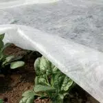 TENAX Ortoclima Plus 2, 40x10 m Bianco, Velo Protettivo Antigelo Invernale per Piante