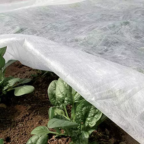 TENAX Ortoclima Plus 2, 40x10 m Bianco, Velo Protettivo Antigelo Invernale per Piante